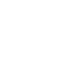 Servizi Trasporto